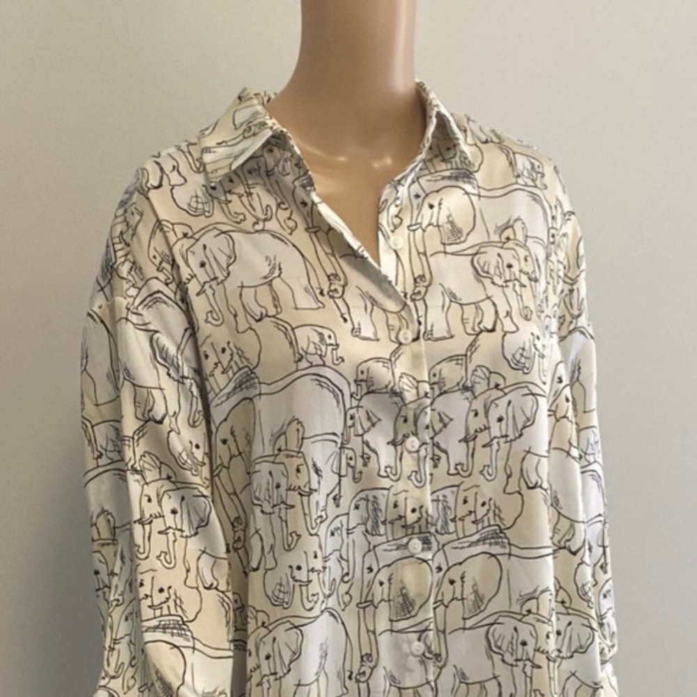Zara Shirt